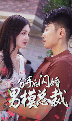 分手后闪婚男模总裁1-20集