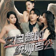 女总裁的统帅老公1-20集