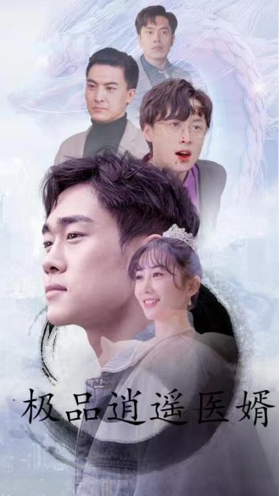 极品逍遥医婿1-20集