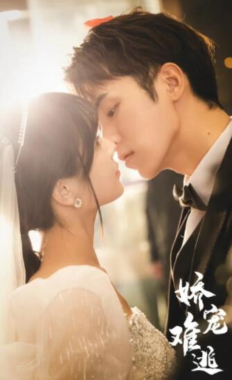 娇妻难逃21-40集