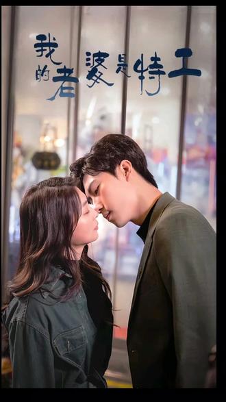 我的老婆是特工1-20集