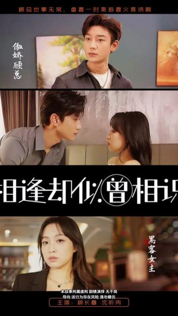 相逢却似曾相识1-20集