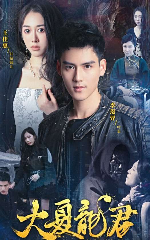 大夏龙君全集(大结局)