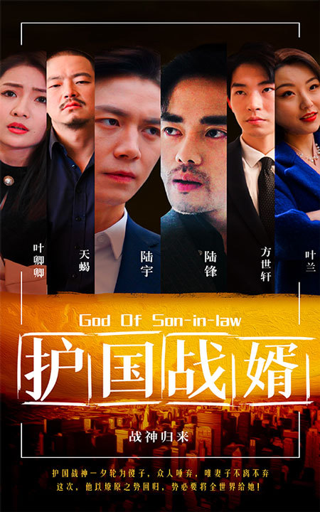 护国战婿1-20集
