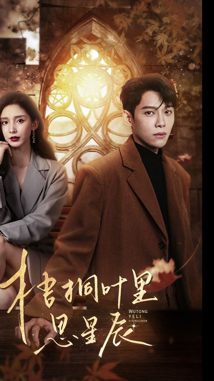 梧桐叶里思星81-100集