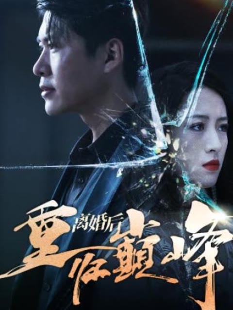 离婚后重回人生巅峰全集(大结局)