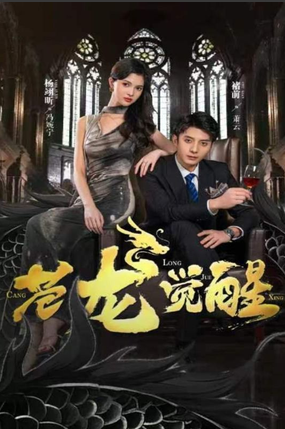 苍龙觉醒全集 (上)(大结局)