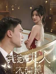 我家夫人不好惹全集 (上)