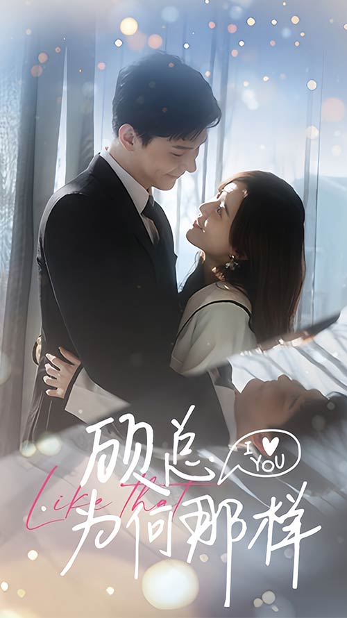 顾总为何那样全集