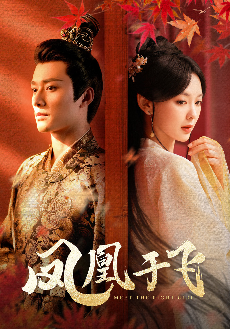 凤凰于飞全集(大结局)