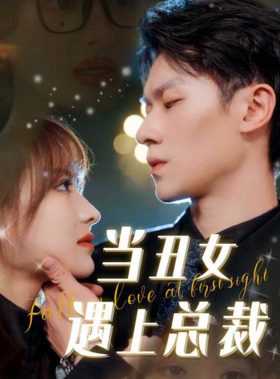 当丑女遇上总裁全集(大结局)