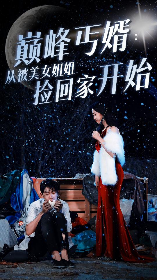 巅峰丐婿：从被美女姐姐捡回家开始全集(大结局)