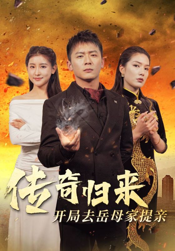 传奇归来开局去岳母家提亲全集(大结局)