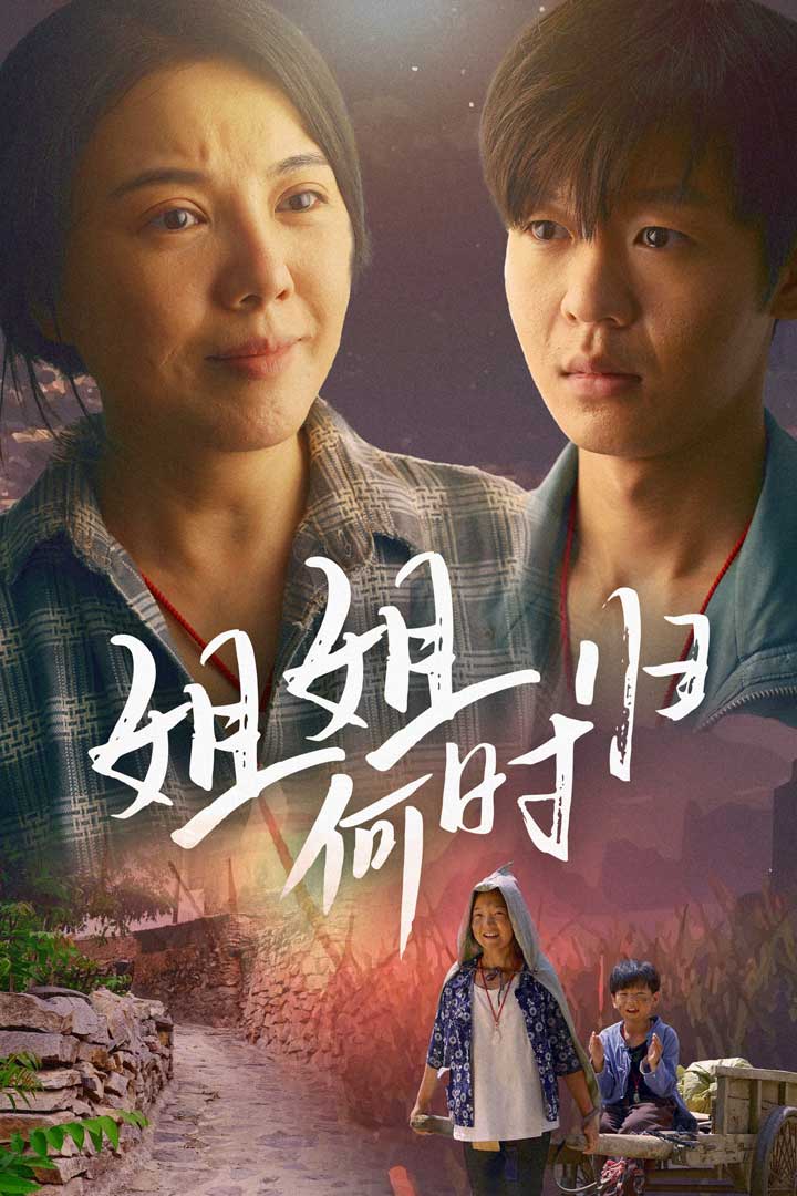 姐姐何时归全集(大结局)