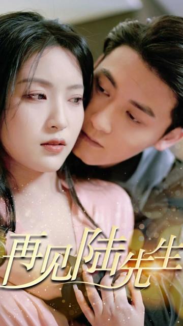 再见陆先生全集(大结局)