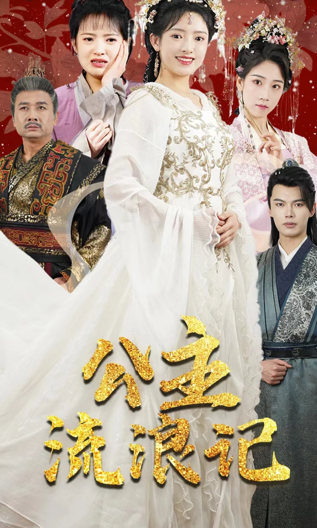 公主流浪记全集(大结局)