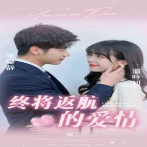 终将返航的爱情全集(大结局)
