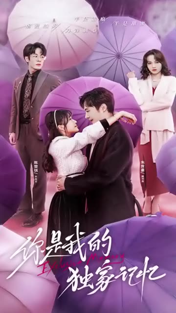 你是我的独家记忆全集(大结局)