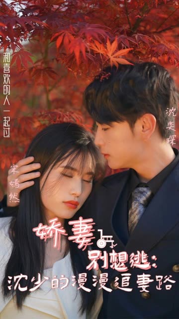 娇妻别想逃：沈少的漫漫追妻路全集(大结局)