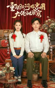 重回80闪婚京圈大佬甜蜜蜜全集(大结局)