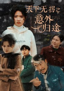 天下无拐之意外归途全集(大结局)