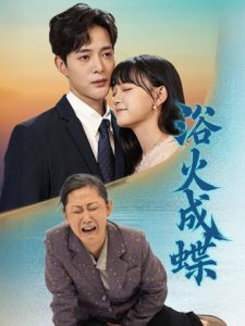 浴火成蝶全集(大结局)