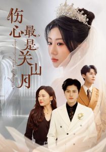 伤心最是关山月全集(大结局)