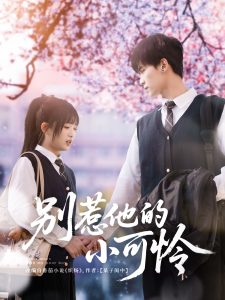 别惹他的小可怜全集(大结局)