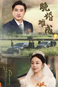 晚婚难成全集(大结局)