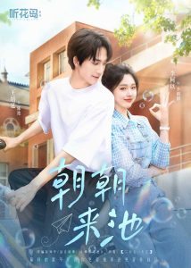 朝朝来池全集(大结局)