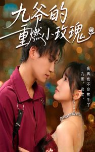 九爷的重燃小玫瑰全集(大结局)