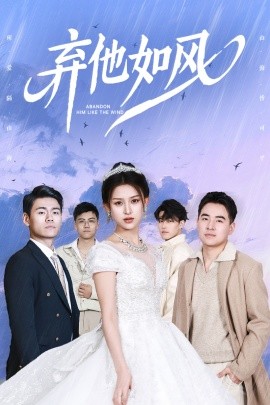 弃他如风全集(大结局)