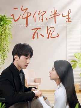 许你半生不见全集(大结局)