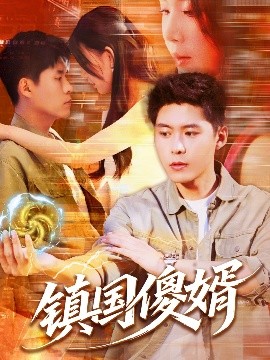 镇国傻婿全集(大结局)